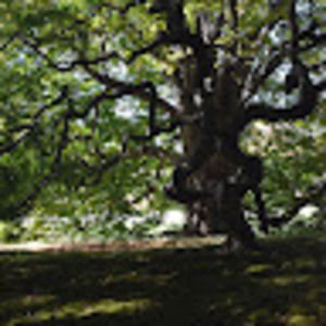 Meet your Posher, Stephen